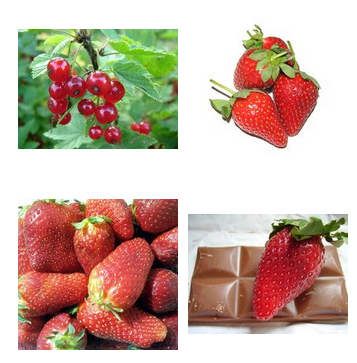 BERRIES.png