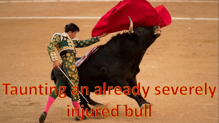 BullFight.jpg