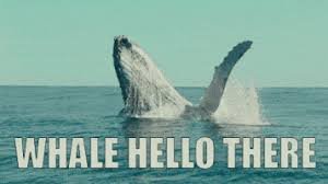 whale hello there.jpg