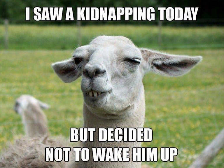 kidnapping.jpg