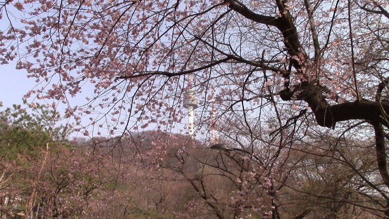 namsan7.JPG