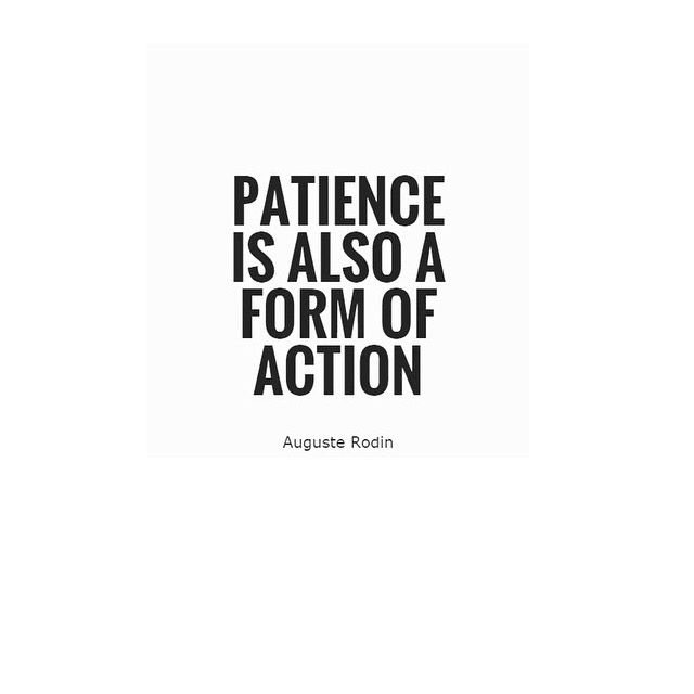 02b5ef4d625c2d1722d1300fe0931adb--quotes-patience-auguste-rodin.jpg