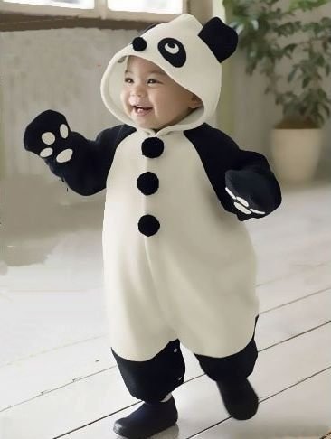 6ea204a3341026f311d828a9a42e83fc--panda-babies-baby-pandas.jpg