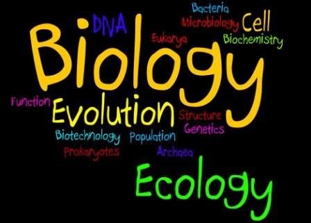 biology_wordle_sceience.jpg