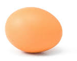 egg.png