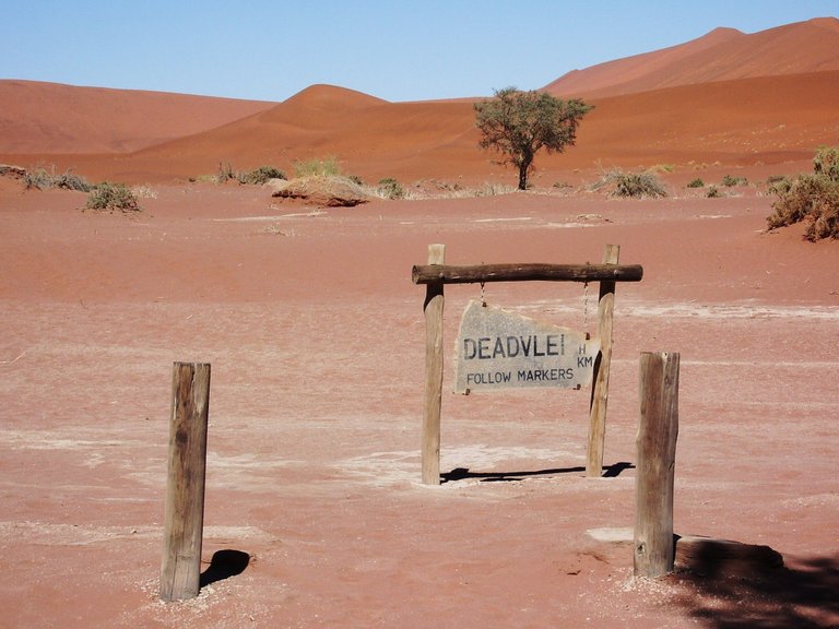 Dead Vlei.jpg