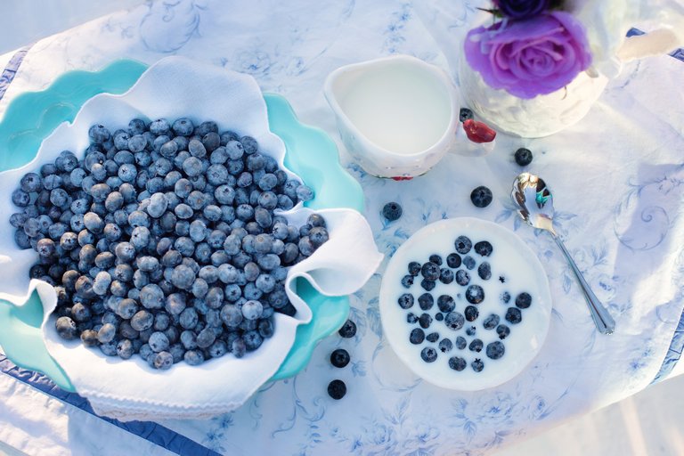 blueberries-1576409_1920.jpg