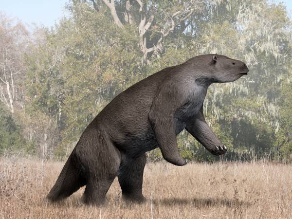 Megatherium_NT_small.jpg