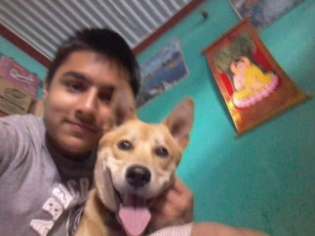 received_1874401096143648.jpeg