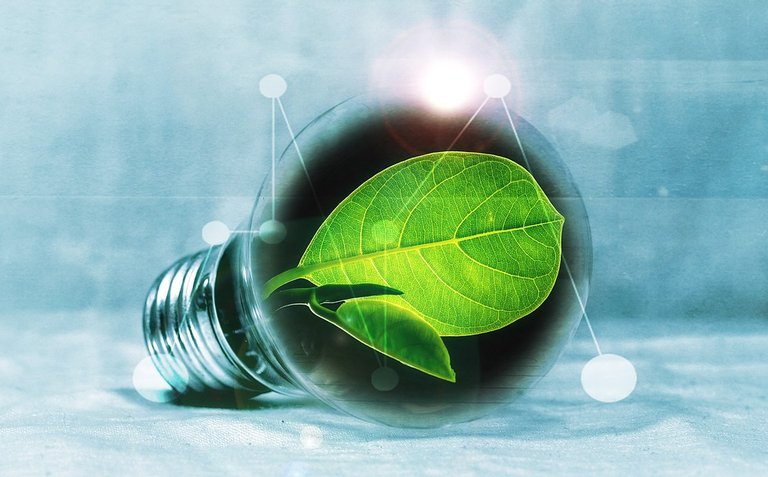 light-bulb-2632075_960_720 (1).jpg