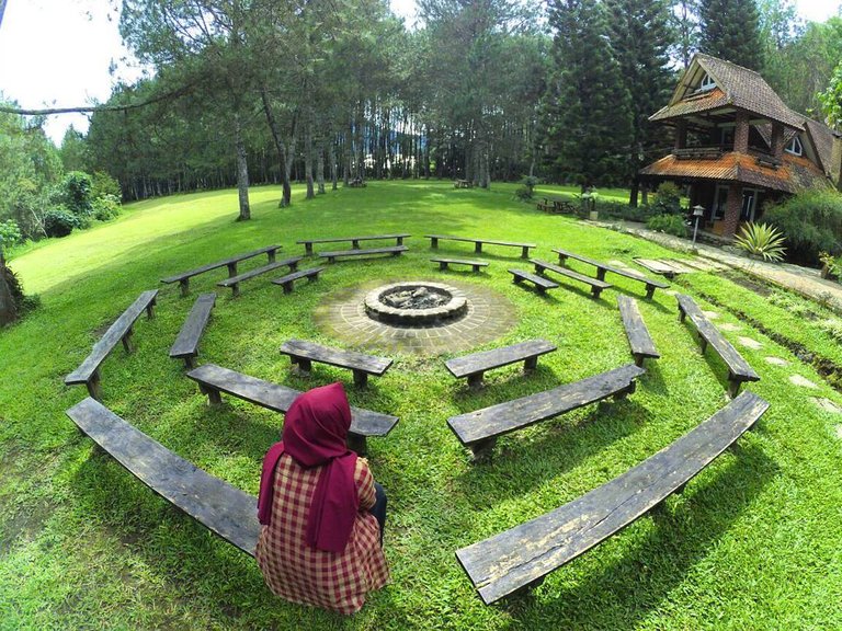 Kemping-di-Hutan-Pinus-Bandung-Instagram-Pine-Forest-Lembang.jpg