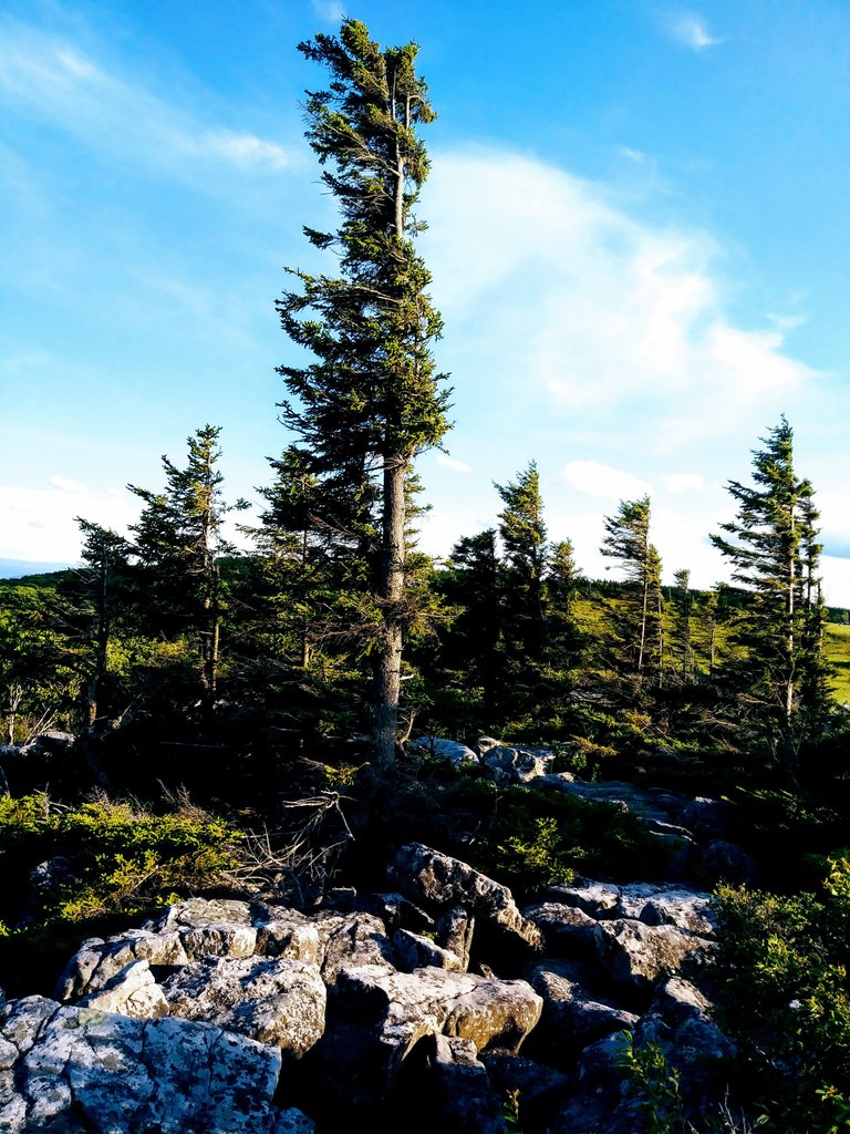 20170624_190444.jpg