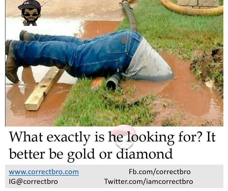 gold or diamond.jpg