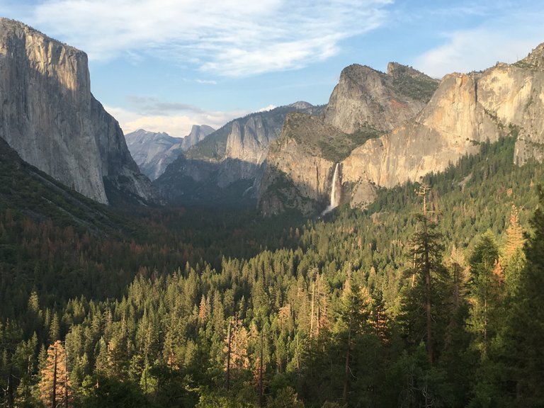 yosemite justdentist steemit.jpg