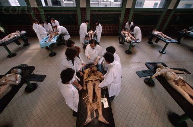 376025d1341631002-cadaver-lab-paris-medical-school-corbis-ya001008.jpg