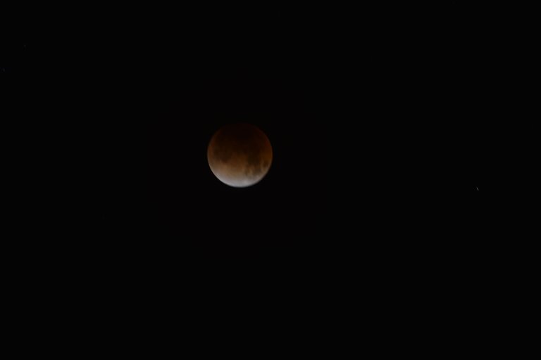DSC_1382.JPG