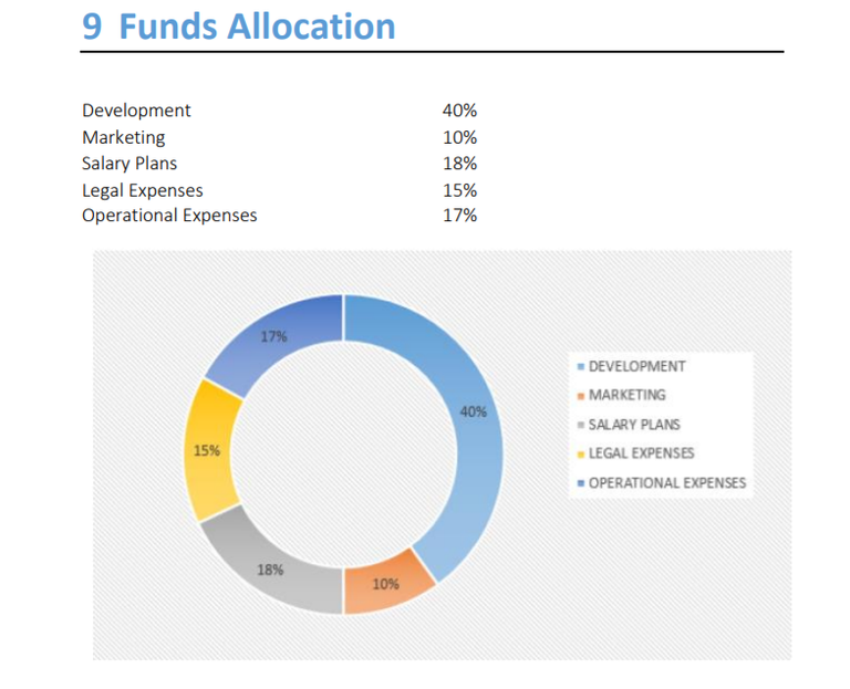 fund allocation.PNG