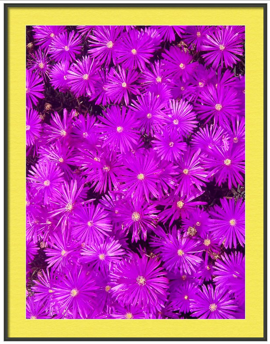 Purple Flowers framed.PNG