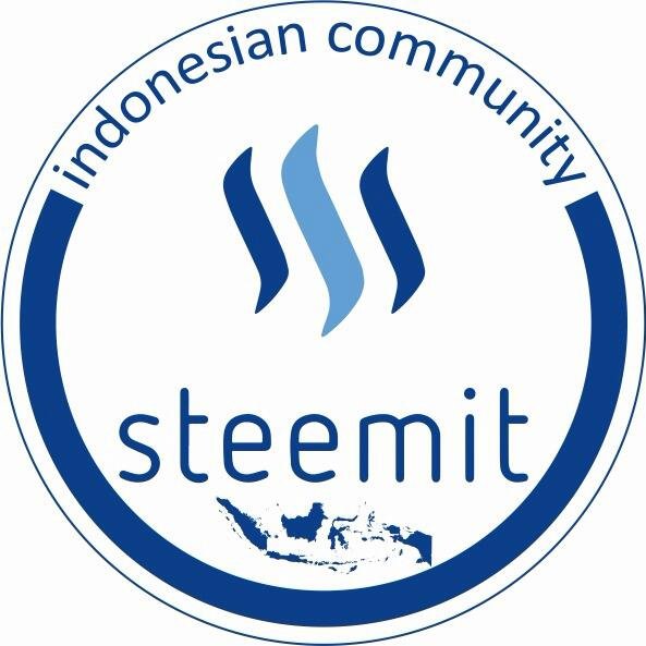 Diskusi Steemit Indonesia 20170711_002421.jpg