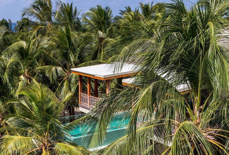 Wellness-Tree-House-Amilla-Fushi-Maldives.jpg