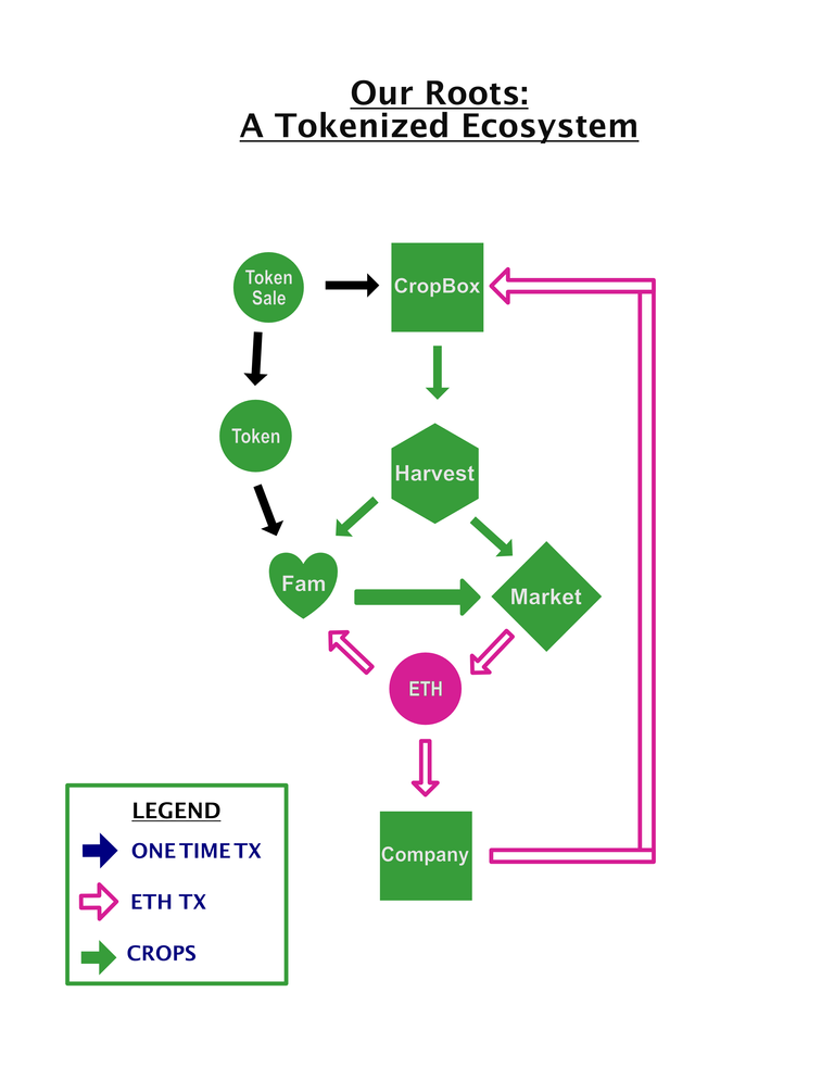 OurRootsEcosystem1 (1).png