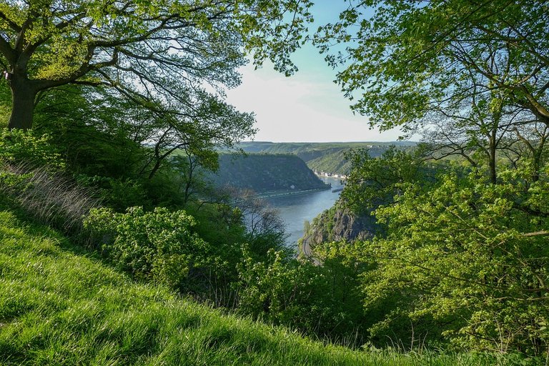 loreley-view-urbar-3334611_960_720.jpg