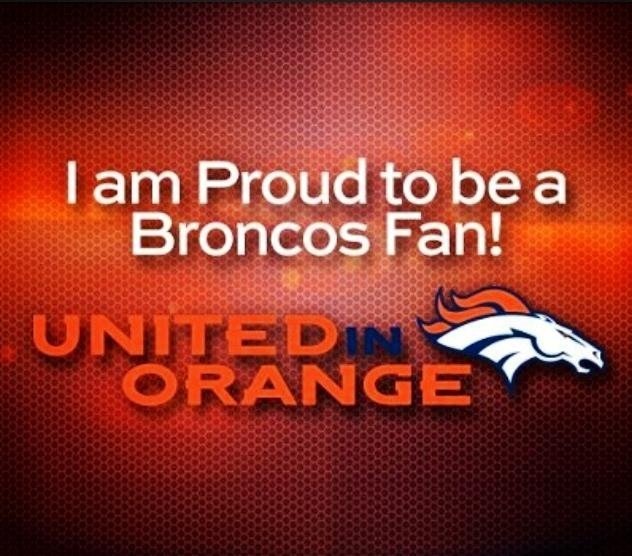 97fb65c4a600a525564912fe2f668b3e--denver-broncos-football-go-broncos.jpg