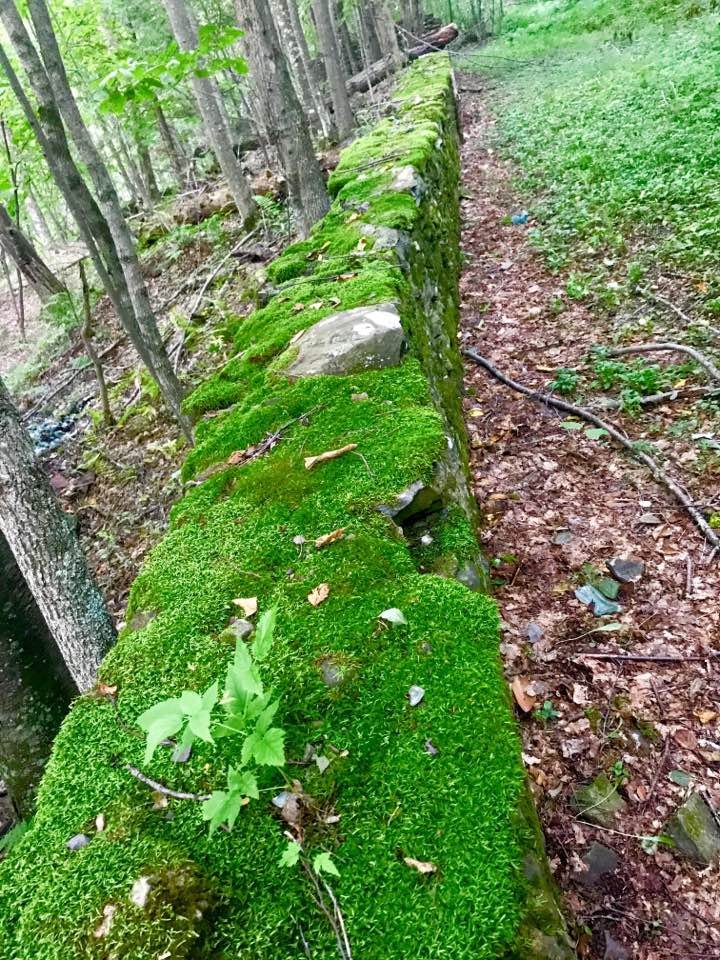 Moss & stone .jpg