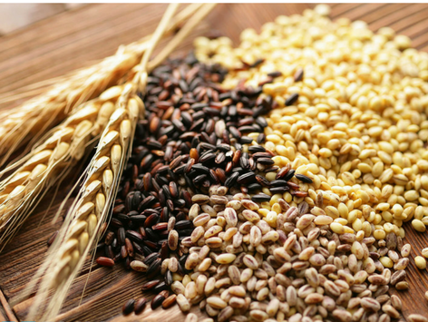 whole-grains-1.png