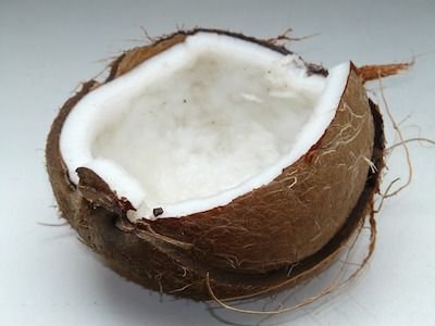 coconut-60395_640.jpg