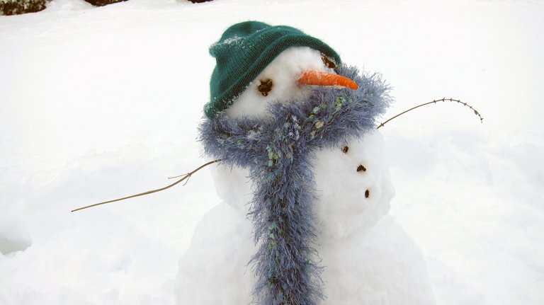 snowman1.jpg