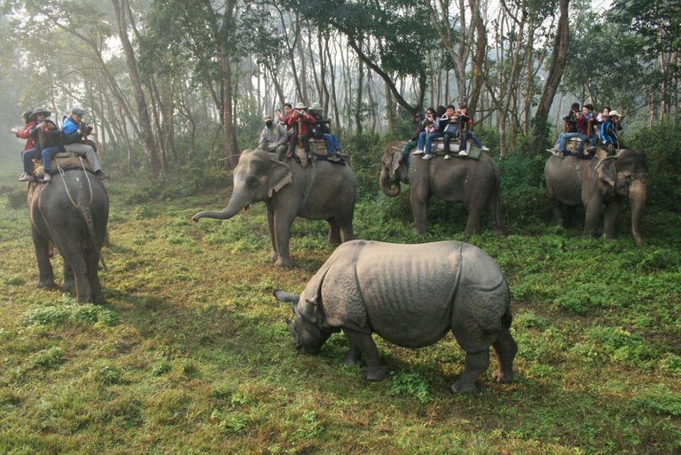 Chitwan National Park.jpg