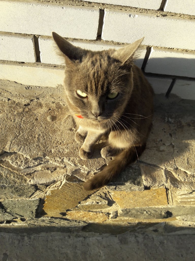 20171101_153032.jpg