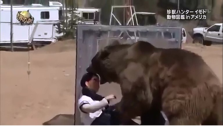 bear1.jpg