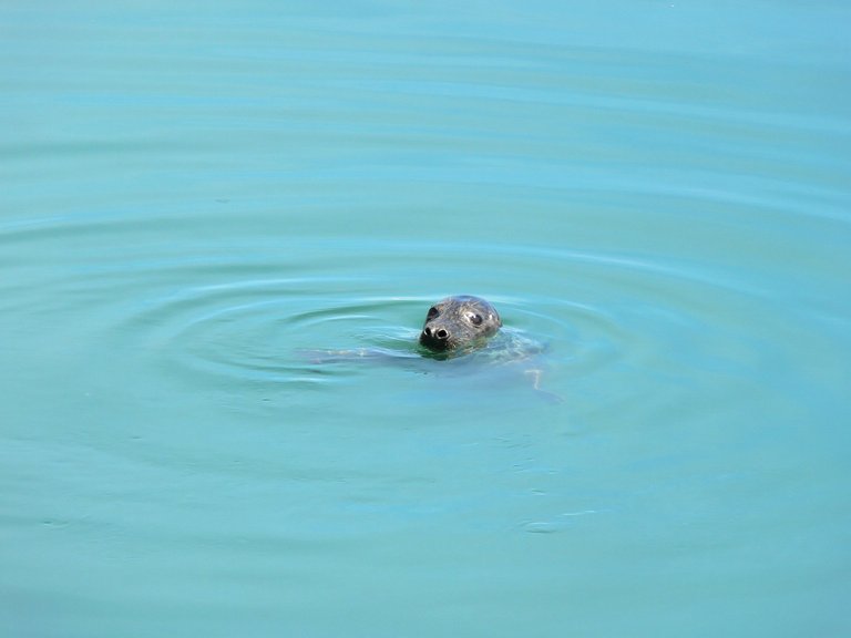 Howth 009_DxO.jpg