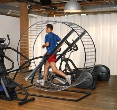 1cd5a-human-hamster-wheel.jpeg