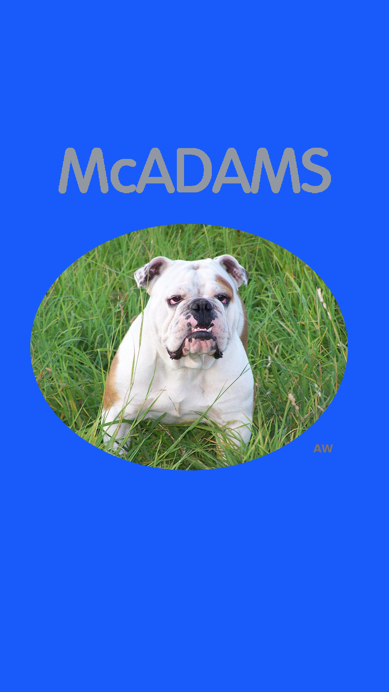 McAdams__Bulldogs.png