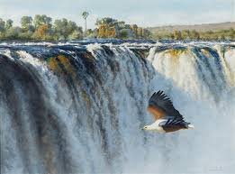 victoria fall bird.jpg