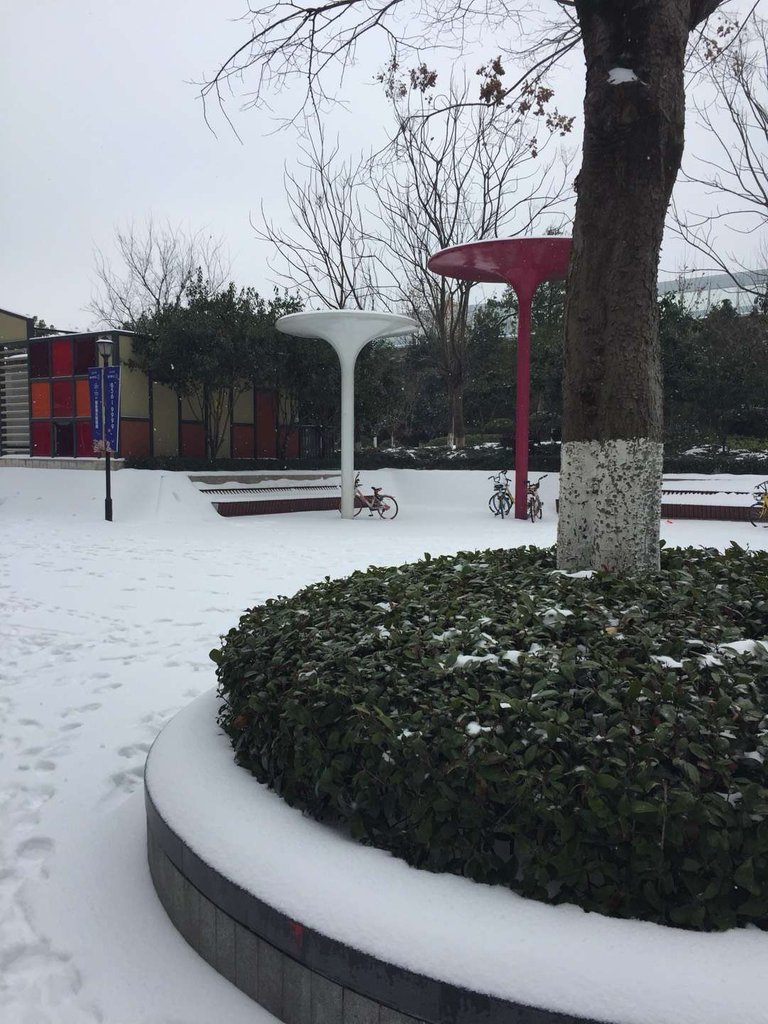 武汉雪.jpg