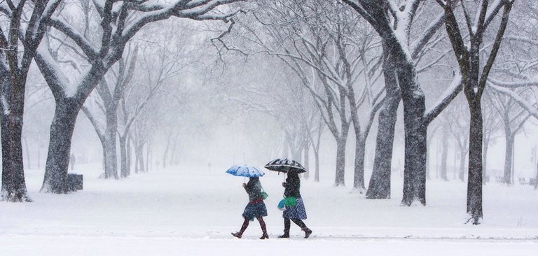 PHOTO-March Snowstorm National Mall-photo courtesy of Eric Druxman-032015-1125x535-Landscape.jpg