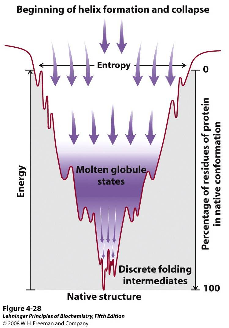 Folding Funnel