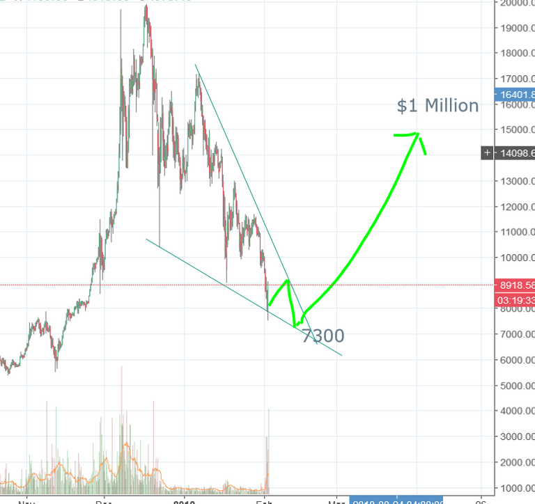 2018-02-02 11_40_27-BTCUSD_ 8918.58 ▼−1.06% — Unnamed — TradingView.png