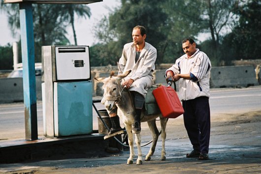 Gas-for-Donkey.jpg