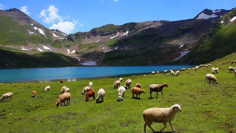 01 Deosai Plateau.jpg