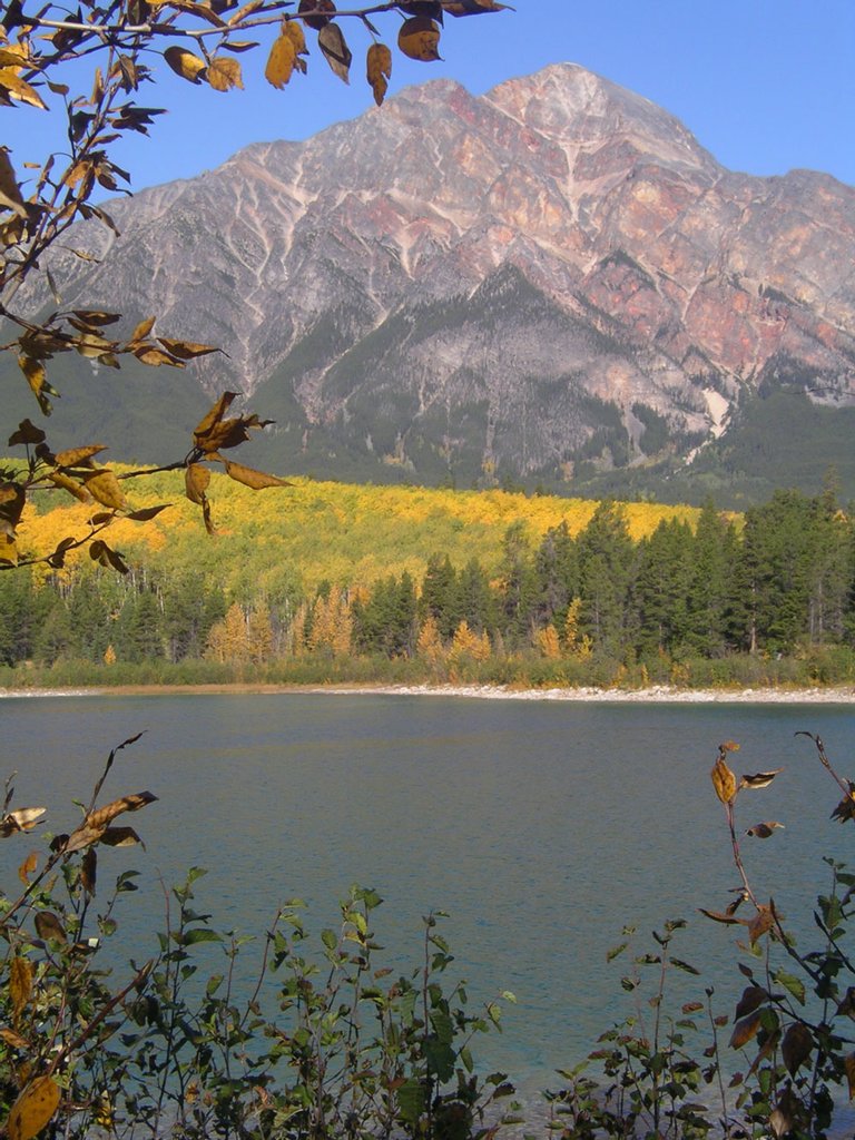 Jasper-sep-2011-098.jpg