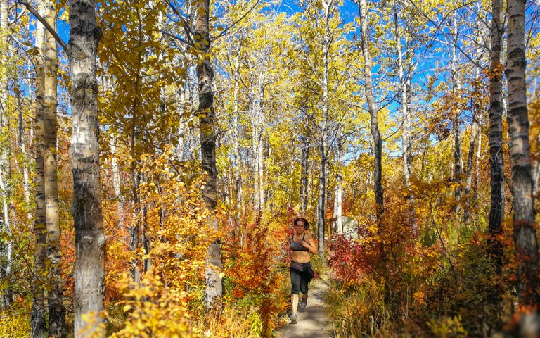 triplonger-trail-running-bowmont-park-calgary.jpg