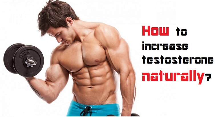 how-to-increase-testosterone.jpg