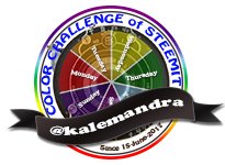 SteemBadges-colorchallenge-kalemandra150.jpg