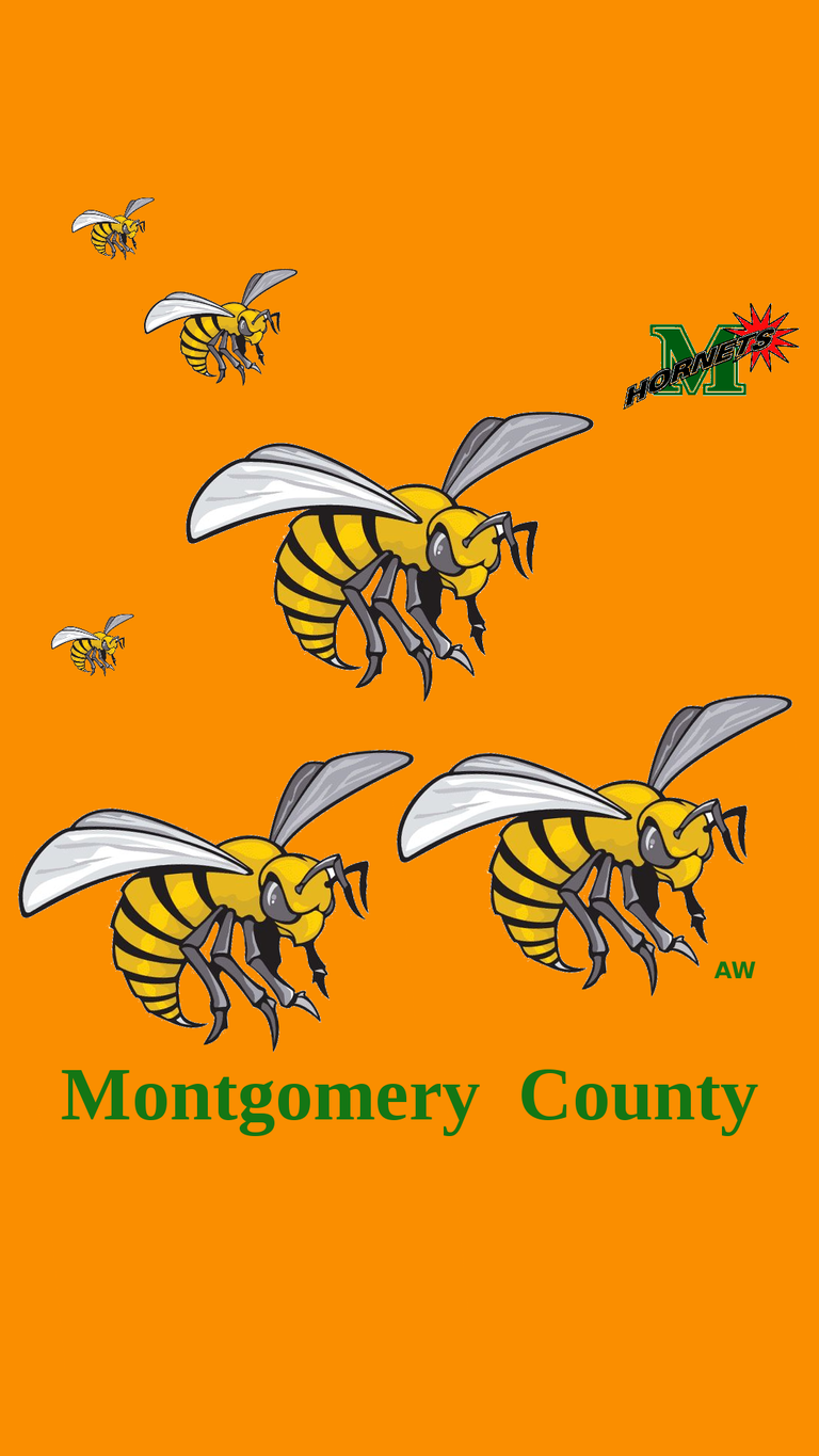 Montgomery_Co__Hornets.png