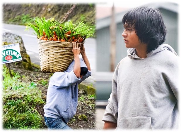 carrot-man-mount-province.jpg